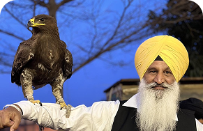 kash-1515223578_600x600